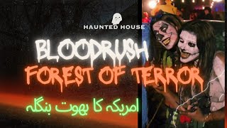 Halloween 2024 Fun  Bloodrush Haunted house  Halloween fun  بھوت بنگلہ USA [upl. by Thorstein]