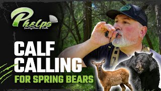 4K  How To Calf Call Spring Bears  Dirk Durham [upl. by Dorinda42]