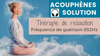 Acouphènes Solution Thérapie de relaxation Fréquence de guérison 852Hz  Treatment rInging in ears [upl. by Roy]