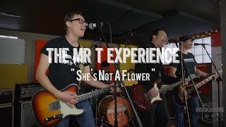 The Mr T Experience  quotShes Not a Flowerquot Live from The Rock Room [upl. by Ecnarret]