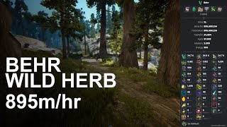 BDO Per Hour Money  Gathering  Behr Wild Herb [upl. by Hyacinthia]