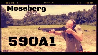 Mossberg 12ga 590A1 Combat Ready Shotgun [upl. by Nageem]