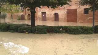 Alluvione ToscanaBuonconvento [upl. by Whitford]