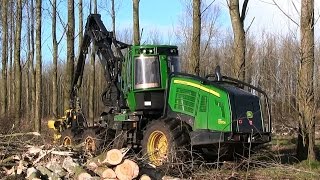 2016 Bos kappen in Kolham FaBruinenberg Nieuweroord [upl. by Diao]