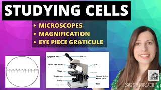 How to study cells  Microscopes magnification and calibrating the eyepiece graticule [upl. by Eahsel]