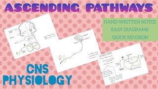 Ascending Pathways  1  CNS  Physiology [upl. by Airdnna]