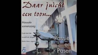 Daar juicht een toon  Massale samenzang 2 [upl. by Casandra]