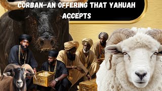 Corban An Offering that Yahuah Accepts 32324 [upl. by Rafiq]