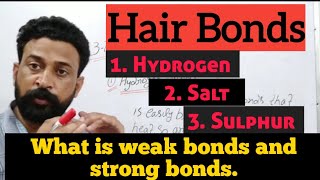 Hair Bonds Theory in Hindi  Hair bond theory [upl. by Dari]