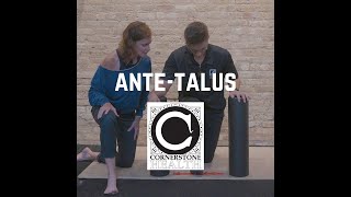 AnteTalus Physical Therapy Ankle Exercises with Liz and JP [upl. by Ahsinna]