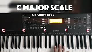 C Major scale  Learn piano Keyboard [upl. by Nalced]