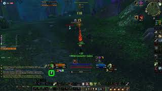 Stuffit Sod Balance Druid 2v1 Level 25 [upl. by Enoob]