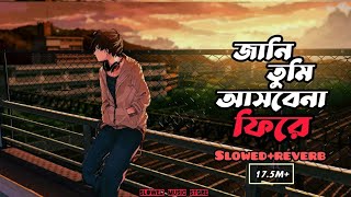 Jani Tumi Asbena Fire  জানি তুমি slowed amp reverb Bangla Lofi Songs  Jani Tumi [upl. by Vieva481]