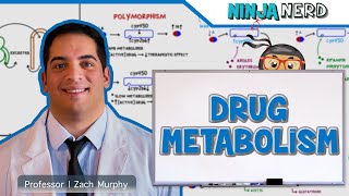 Pharmacokinetics  Drug Metabolism [upl. by Parsifal961]