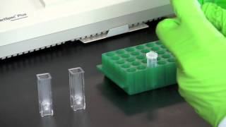 DNA Quantitation Using a Spectrophotometer [upl. by Terry]