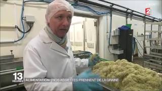 Germline  Les graines germées à lhonneur du JT de 13H de France 2 de ce 28122016 [upl. by Joceline]