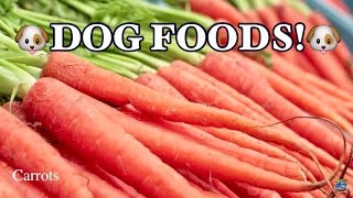 TOP 10 BEST FOODS FOR DOGS [upl. by Soinski]