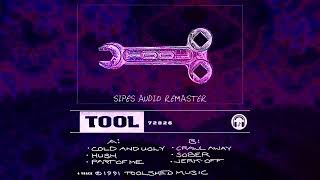 Tool  72826 Demo Sipes Audio Remaster [upl. by Annaor]