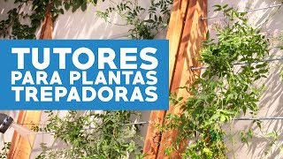 Cómo hacer tutores para cubrir muros con plantas trepadoras [upl. by Scarrow316]