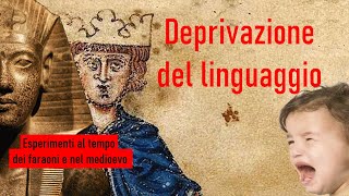 LESPERIMENTO IMMORALE della deprivazione del LINGUAGGIO [upl. by Elmaleh]