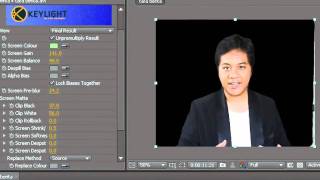 After Effects Tutorials  Basic Green Screen Keylight [upl. by Olson462]