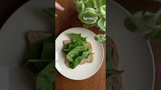 Egg Salad Sandwich Recipe  Easy and Healthy Breakfast 🥪👩🏻‍🍳 [upl. by Eidassac]