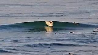 ETHAN EWING ITALO amp others shred TRESTLES before the WSL FINALS – September 4 2024 [upl. by Ille7]