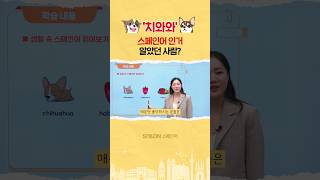 치와왈왈왈이 스페인어 알아듣는 이유 스페인어초급 스페인어공부치와와 [upl. by Weinreb]