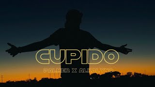 Palmer  Cupido Visualizer [upl. by Salkin904]