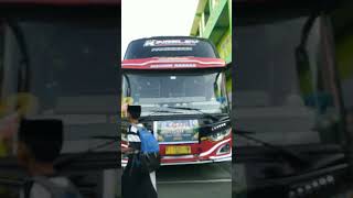 Bus fatum arinaquotKingsleyquot [upl. by Ramedlab]