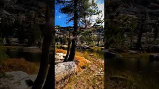 October Sierras💛🧡💚 healing mountains mountainpeace hikingroutes hiking healinglandscape [upl. by Annavoeg582]