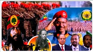 ODUU Ammee Amma nu dhaqabe BBC Afaan oromo wal  himannaa qondaaltota waraana Bilisummaa oromof kaan [upl. by Aknahs]