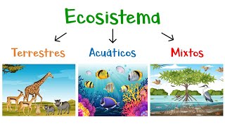 🌿 ¿Qué son los Ecosistemas 🌎 Tipos de Ecosistemas 🐠 Fácil y Rápido [upl. by Pauline650]