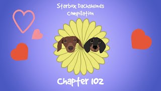 Starbox Dachshunds Compilation Chapter 102 [upl. by Nnalorac412]