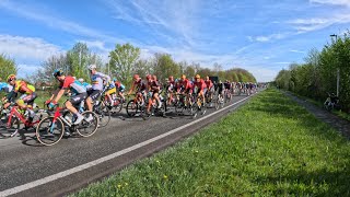 Doortocht Ronde van Vlaanderen 2024 in DendermondeLebbeke ⚫🟡🚴 [upl. by Idnek]