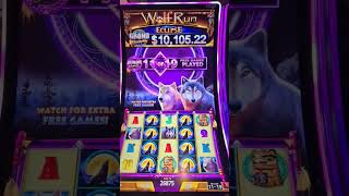 Please roar ALOT 19 Minor Free Games fyp luckyhoslots yaamava slot casino grandjackpot [upl. by Cacilia]