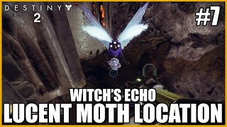 Lucent Moth Location  Witchs Echo Destiny 2 [upl. by Ahserak788]