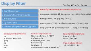 Wireshark Dersleri  Display Filter [upl. by Nalhsa]