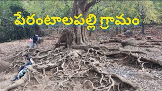 Perantalapalli Village  Papikondalu Tour [upl. by Osugi571]