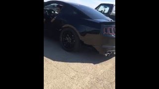 2014 Mustang gt 50 Kooks 178 Headers Or xpipe Roush quad tipped exhaust [upl. by Dhiren396]