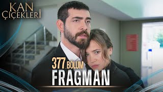 Kan Çiçekleri 377 Bölüm Tanıtımı [upl. by Enilraep]