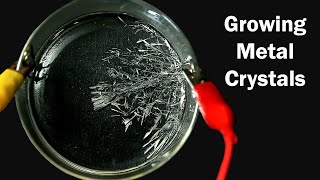 How to grow Tin Crystals [upl. by Yank]