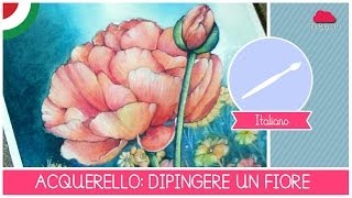 Corso di Acquerello BASE come dipingere un FIORE LEZIONE 10 La corolla [upl. by Arabela]