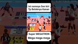 Kecerdasan Megawati hangestrimegawatihangestrimegatron redspark shortvideo [upl. by Armanda911]