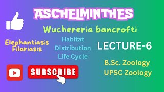 Wuchereria life cycle  Filariasis  Elephantiasis  Zoology  Notes in description [upl. by Ordnasil]