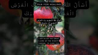 Unlock Healing with THIS Powerful Dua 🌟 Divine Prayer for Health and Recovery 🙏 Shorts short dua [upl. by Odelinda]