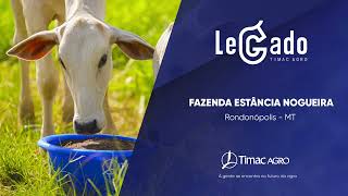 TIMAC Legado Agropecuária Nogueira NutriFlex [upl. by Llevel95]