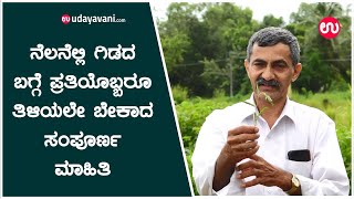 ನೆಲನೆಲ್ಲಿ ಗಿಡದ ಬಗ್ಗೆ ಪ್ರತಿಯೊಬ್ಬರೂ ತಿಳಿಯಲೇ ಬೇಕಾದ ಸಂಪೂರ್ಣ ಮಾಹಿತಿ  Use of Nelanelli Gida [upl. by Ralyat]