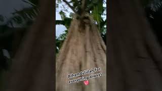 Alhamdulillah mridhatv24 shortvideo shorts bangladesh [upl. by Elana]