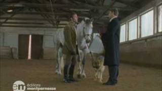 Rex chien flic  Le Cheval Qui Valait Des Millions Extrait [upl. by Trimble]